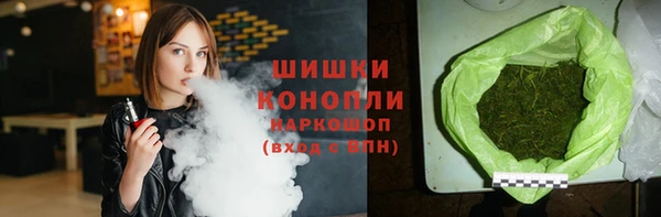 мдпв Карпинск