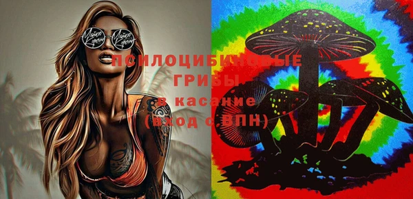 spice Карталы