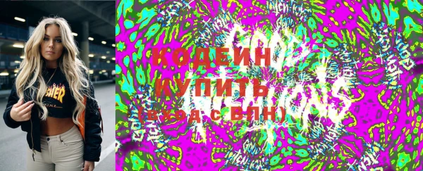 мдпв Карпинск