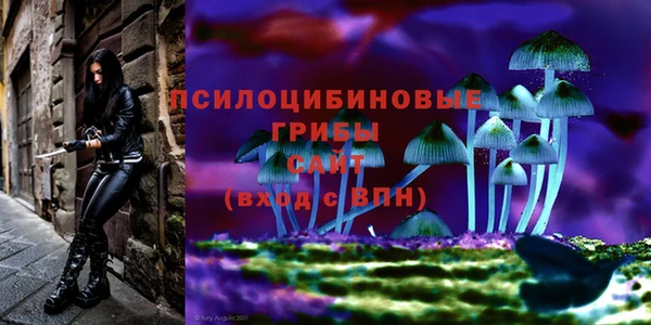 экстази Касимов