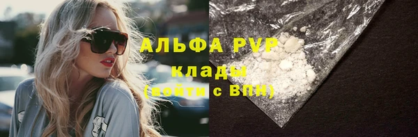 мдпв Карпинск