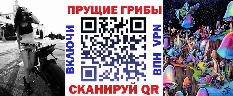 Купить где  Котельниково  Псилоцибиновые грибы Cubensis 